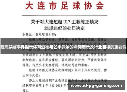 魏震禁赛事件揭示体育道德与公平竞争的深刻启示及行业自律的重要性