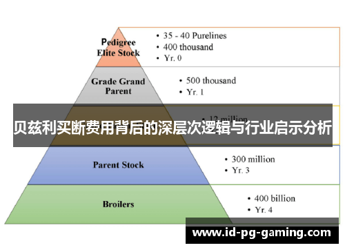 贝兹利买断费用背后的深层次逻辑与行业启示分析